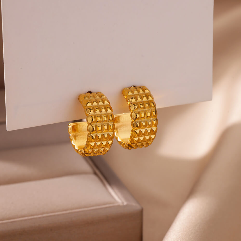 Stainless Steel C-shaped Geometric Earings